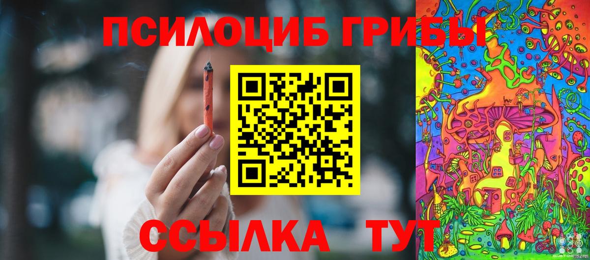 Галлюциногенные грибы прущие грибы Дмитров