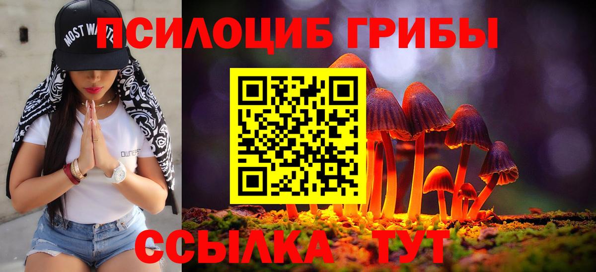 Дмитров  Псилоцибиновые грибы GOLDEN TEACHER  Галлюциногенные грибы MAGIC MUSHROOMS  Вход с VPN 